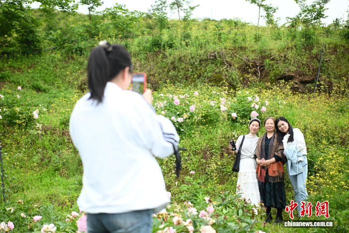 
中国中医科学院广安门医院黄牛代挂号电话票贩子号贩子网上预约挂号,住院检查加快,（乡村行·看振兴）美丽经济绽放“重庆芍药第一村”