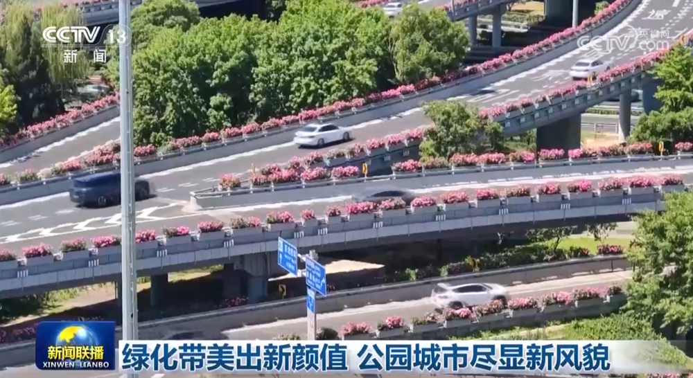 首都医科大学附宣武医院黄牛代挂号电话票贩子号贩子网上预约挂号,住院检查加快,绿化带美出新颜值 公园城市尽显新风貌