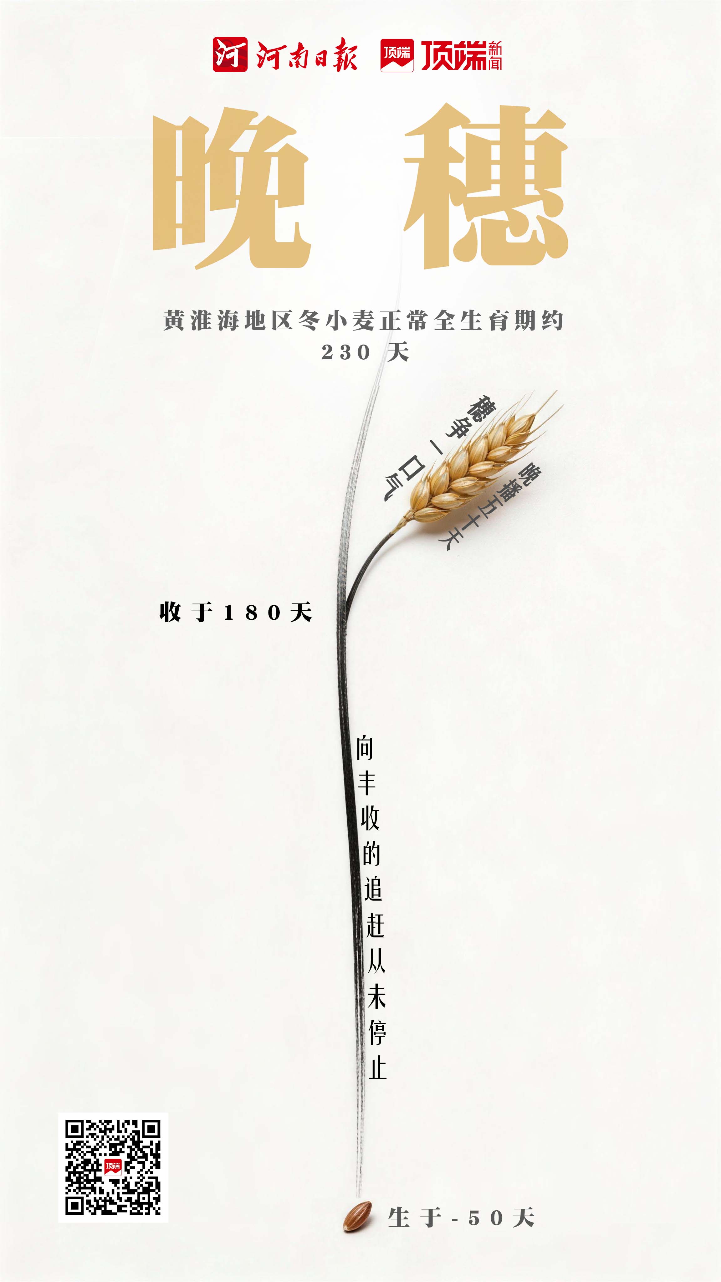 
首都医科大学附属北京同仁医院黄牛代挂号电话票贩子号贩子网上预约挂号,住院检查加快,“逆袭”的麦田
