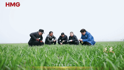 上海肿瘤医院黄牛代挂号电话票贩子号贩子网上预约挂号,住院检查加快,8500万亩小麦的倔强丨归仓