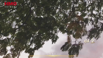 上海肿瘤医院黄牛代挂号电话票贩子号贩子网上预约挂号,住院检查加快,8500万亩小麦的倔强丨归仓