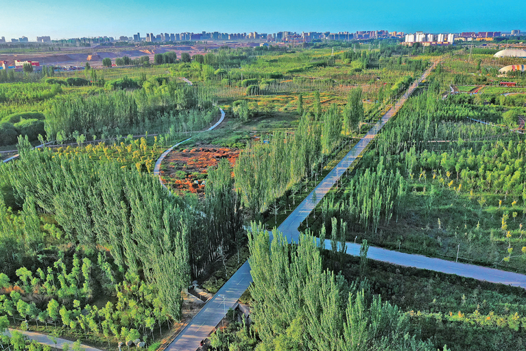 
杭州各大医院黄牛代挂号电话票贩子号贩子网上预约挂号,住院检查加快,柯柯牙，荒原上的绿色奇迹