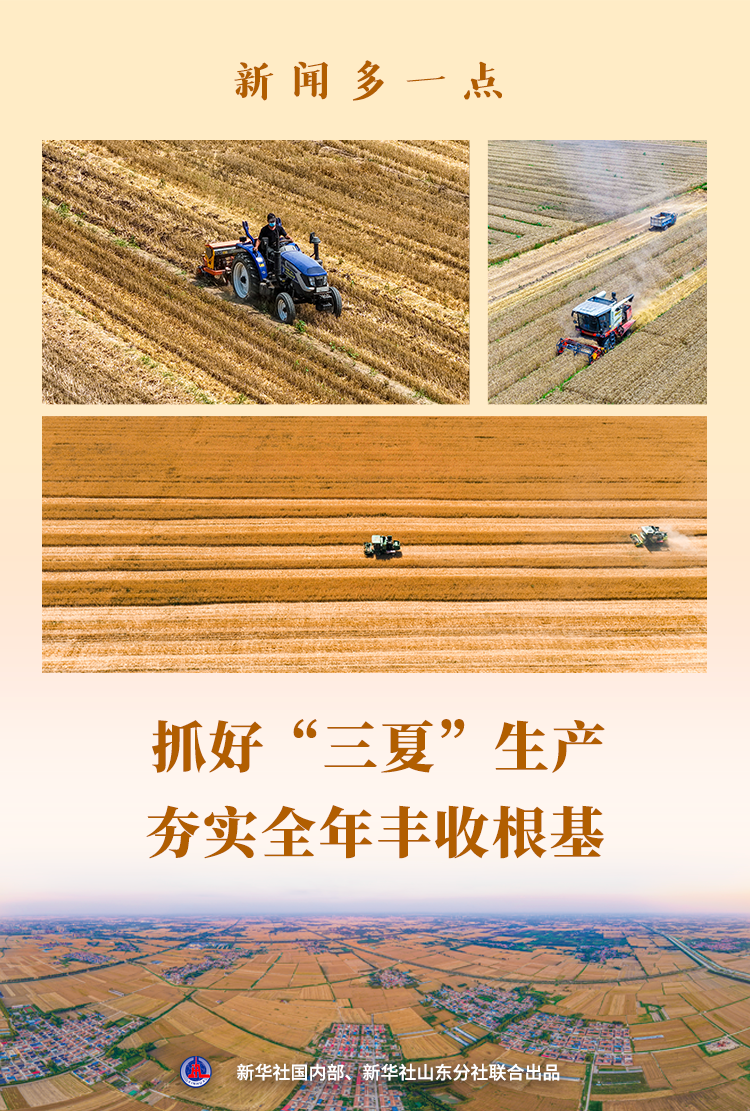 上海儿童医院黄牛代挂号电话票贩子号贩子网上预约挂号,住院检查加快,新闻多一点|抓好“三夏”生产 夯实全年丰收根基