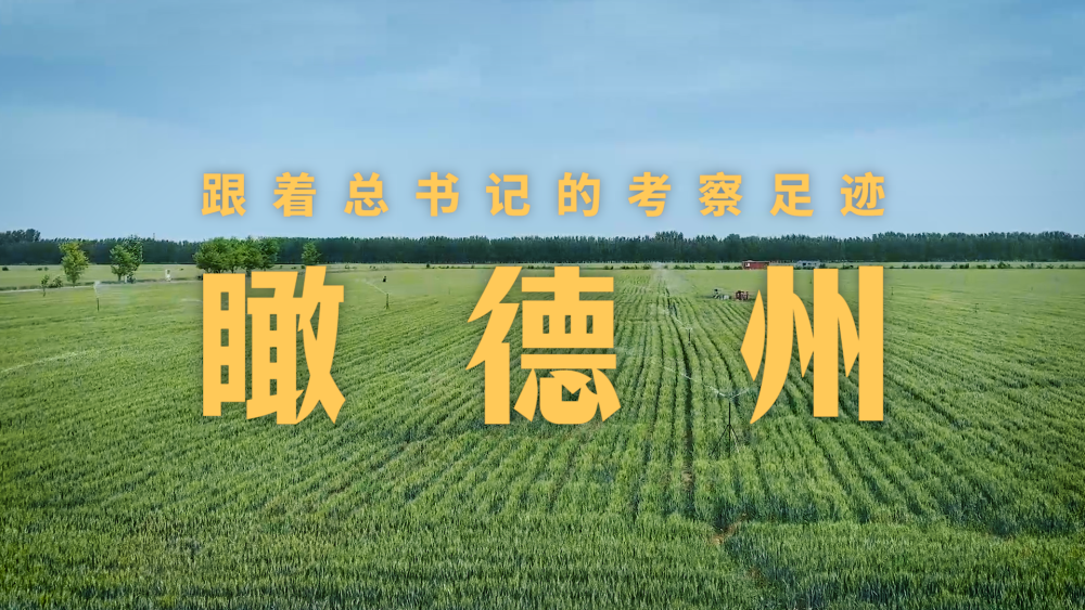 杭州西溪医院黄牛代挂号电话票贩子号贩子网上预约挂号,住院检查加快,跟着总书记的考察足迹|瞰德州