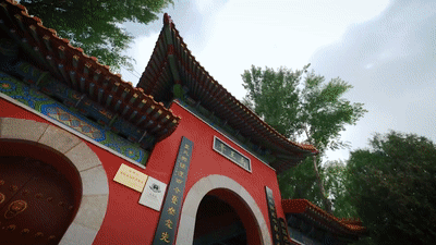 杭州西溪医院黄牛代挂号电话票贩子号贩子网上预约挂号,住院检查加快,跟着总书记的考察足迹|瞰德州