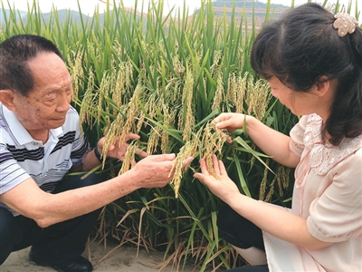 
杭州西溪医院黄牛代挂号电话票贩子号贩子网上预约挂号,住院检查加快,我与土地