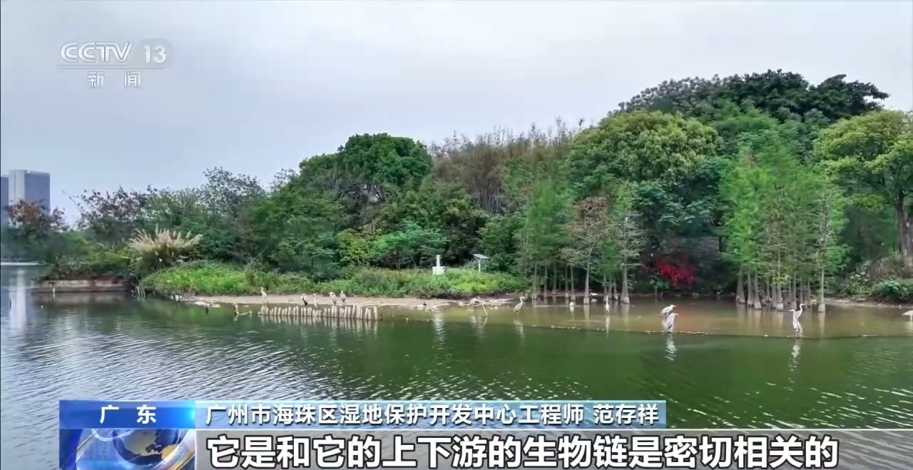 
上海第九人民医院黄牛代挂号电话票贩子号贩子网上预约挂号,住院检查加快,科技如何赋能美丽中国建设 多场景解锁→