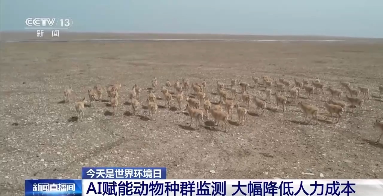 
上海第九人民医院黄牛代挂号电话票贩子号贩子网上预约挂号,住院检查加快,科技如何赋能美丽中国建设 多场景解锁→
