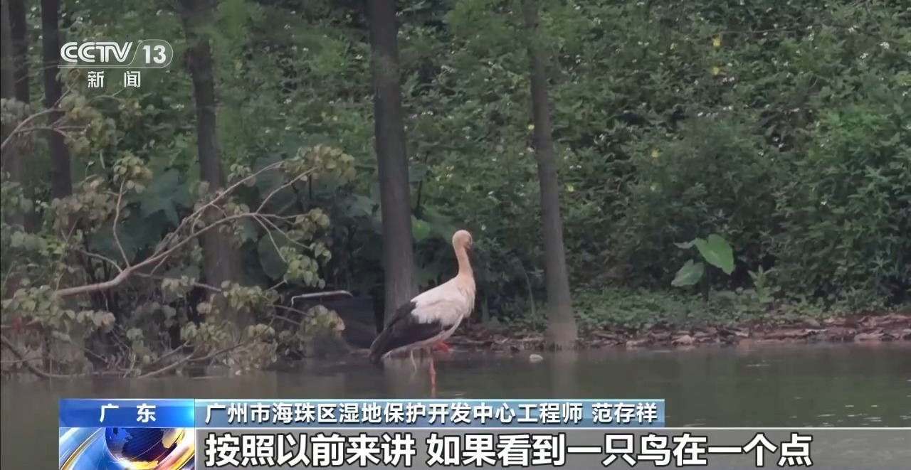 
上海第九人民医院黄牛代挂号电话票贩子号贩子网上预约挂号,住院检查加快,科技如何赋能美丽中国建设 多场景解锁→