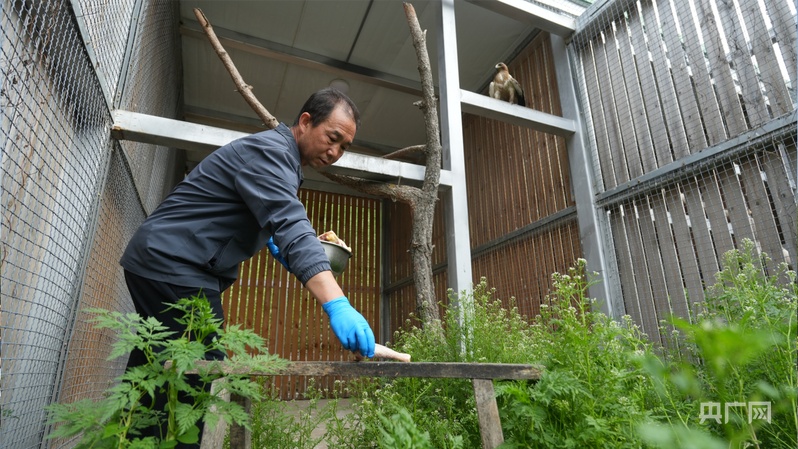 
江苏省人民医院黄牛代挂号电话票贩子号贩子网上预约挂号,住院检查加快,美丽中国行丨六盘山间听鸟鸣，典农河畔见清波——宁夏生态之变写进寻常生活