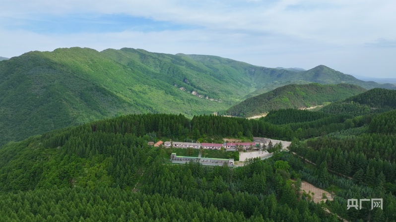 
江苏省人民医院黄牛代挂号电话票贩子号贩子网上预约挂号,住院检查加快,美丽中国行丨六盘山间听鸟鸣，典农河畔见清波——宁夏生态之变写进寻常生活