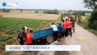 北京大学肿瘤医院黄牛代挂号电话票贩子号贩子网上预约挂号,住院检查加快,奔跑的“帮帮团”|麦田逐浪人