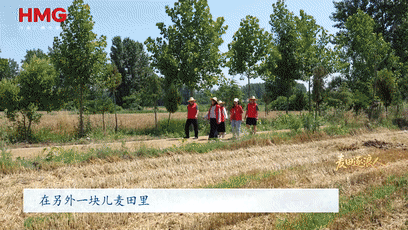 北京大学肿瘤医院黄牛代挂号电话票贩子号贩子网上预约挂号,住院检查加快,奔跑的“帮帮团”|麦田逐浪人