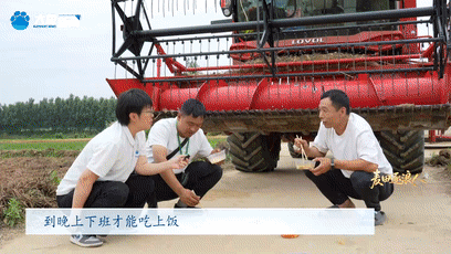 北京大学肿瘤医院黄牛代挂号电话票贩子号贩子网上预约挂号,住院检查加快,奔跑的“帮帮团”|麦田逐浪人