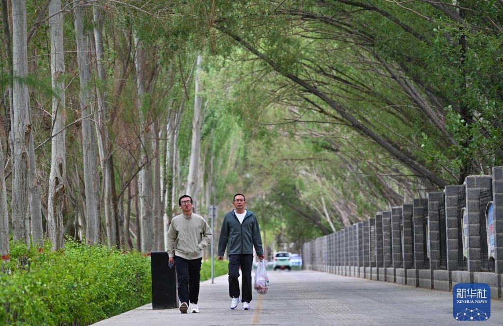 
东部战区总医院黄牛代挂号电话票贩子号贩子网上预约挂号,住院检查加快,沿青藏铁路 看“天路”传奇 | 跨越七十余载光影，看格尔木一城生长