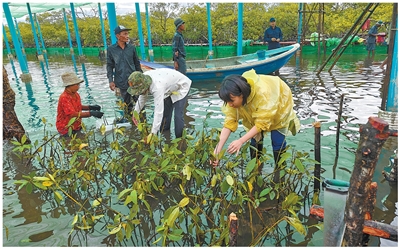 
中山大学附属第三医院黄牛代挂号电话票贩子号贩子网上预约挂号,住院检查加快,共守蔚蓝，构建海洋命运共同体（向海而行）