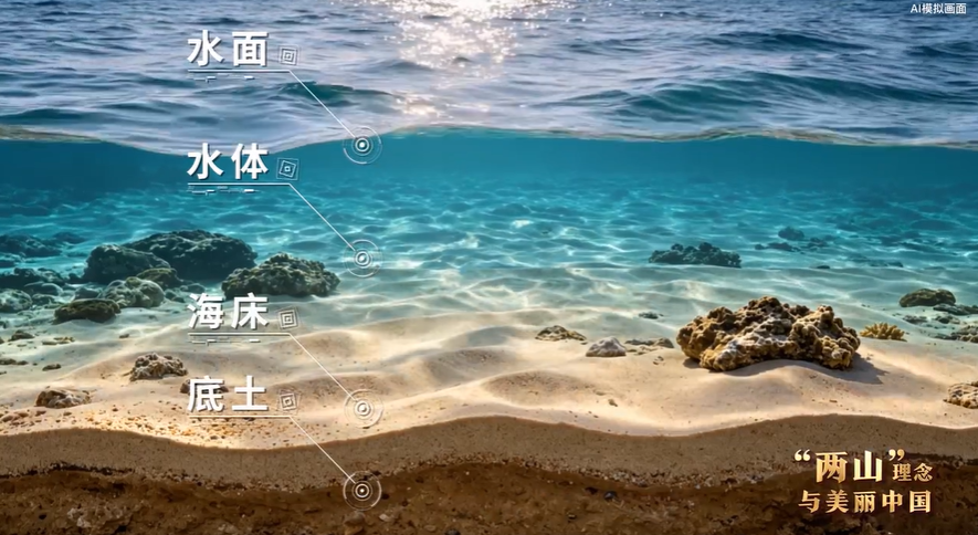 
杭州各大医院黄牛代挂号电话票贩子号贩子网上预约挂号,住院检查加快,“两山”理念与美丽中国丨向海要空间 立体耕耘激活蓝色经济