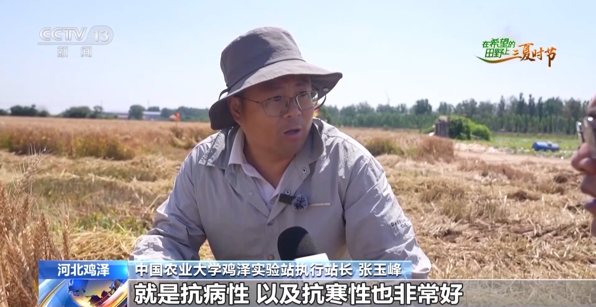 
杭州市富阳中医骨伤医院黄牛代挂号电话票贩子号贩子网上预约挂号,住院检查加快,视频丨订单护航+科技助力 各地抢抓农时守好“粮袋子”