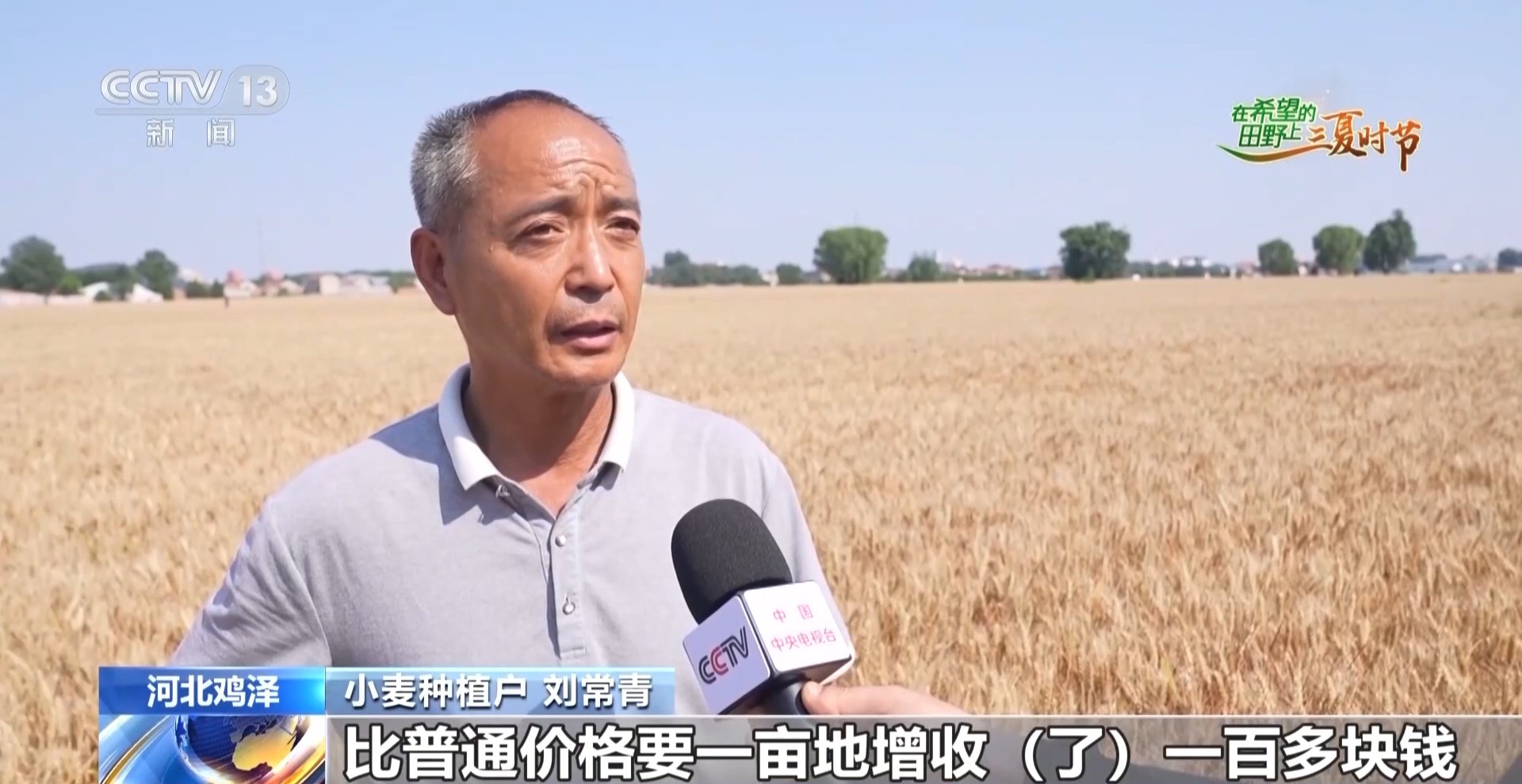 
杭州市富阳中医骨伤医院黄牛代挂号电话票贩子号贩子网上预约挂号,住院检查加快,视频丨订单护航+科技助力 各地抢抓农时守好“粮袋子”
