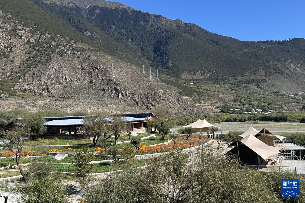 北京朝阳医院黄牛挂号电话票贩子号贩子网上预约挂号,住院检查加快从荒滩到绿洲,雅尼湿地的生态蝶变