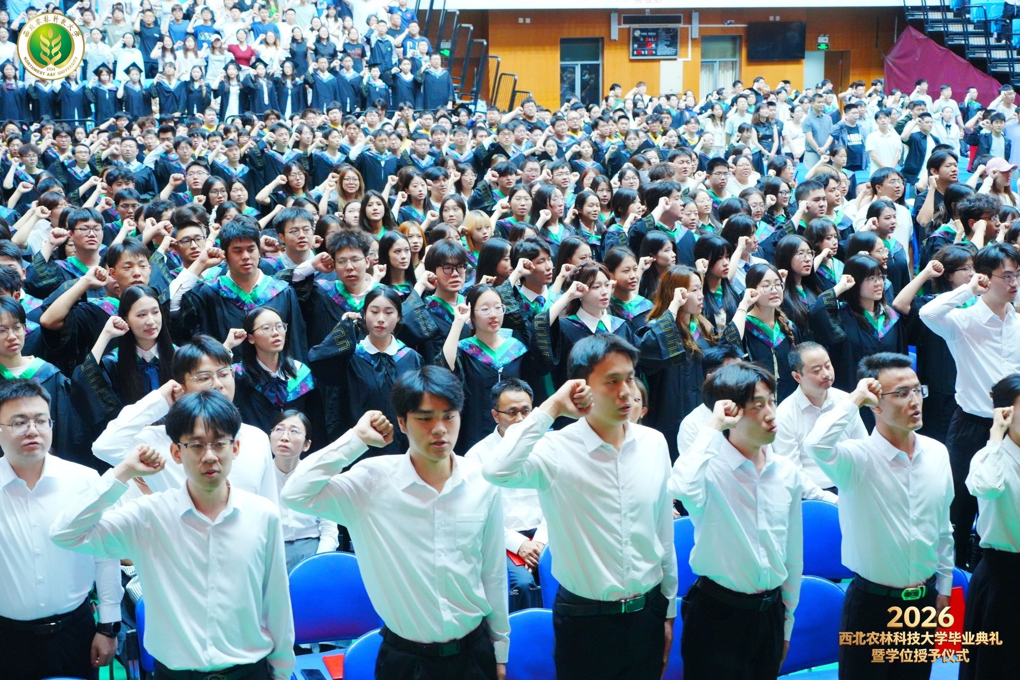 
中南大学湘雅二医院周新民医生黄牛预约代挂号电话毕业踏歌行丨是你，把论文写进泥土里