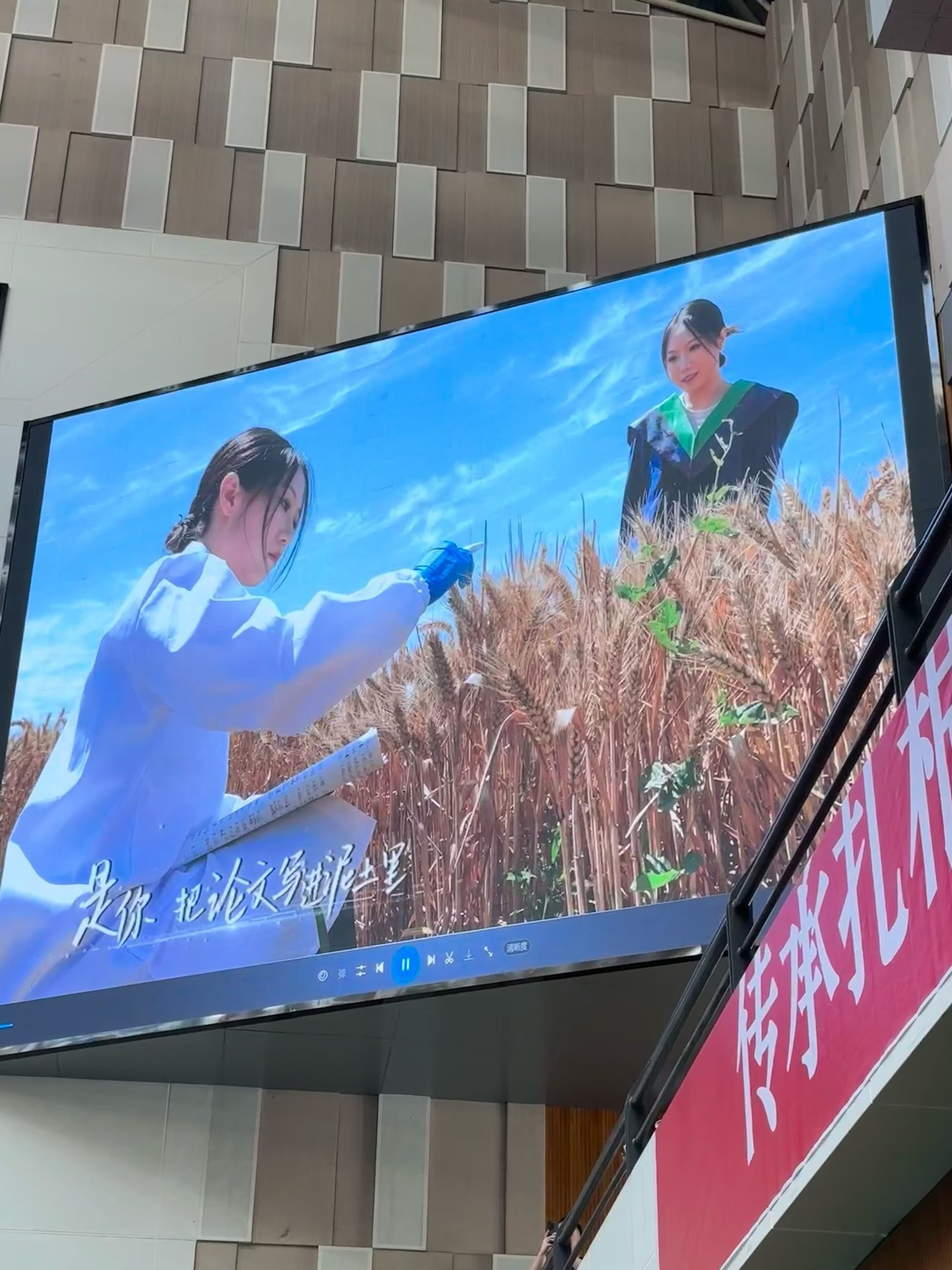 
中南大学湘雅二医院周新民医生黄牛预约代挂号电话毕业踏歌行丨是你，把论文写进泥土里