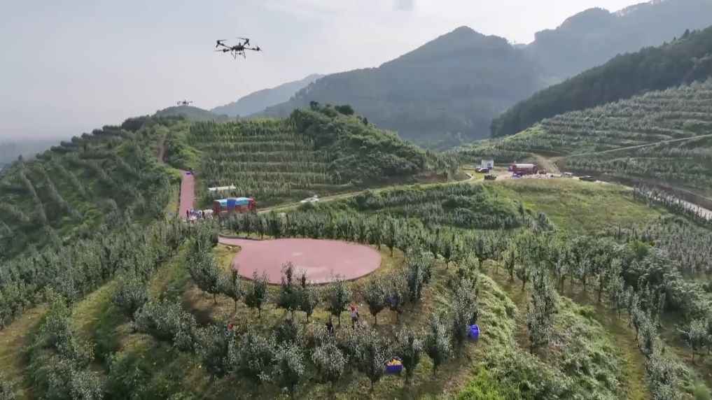 
北京大学第一医院黄牛挂号电话票贩子号贩子网上预约挂号,住院检查加快新华视点丨微光筑大爱 民生见温情