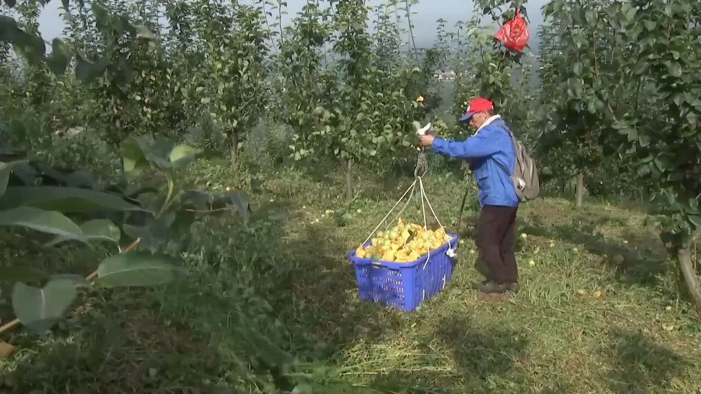 
北京大学第一医院黄牛挂号电话票贩子号贩子网上预约挂号,住院检查加快新华视点丨微光筑大爱 民生见温情