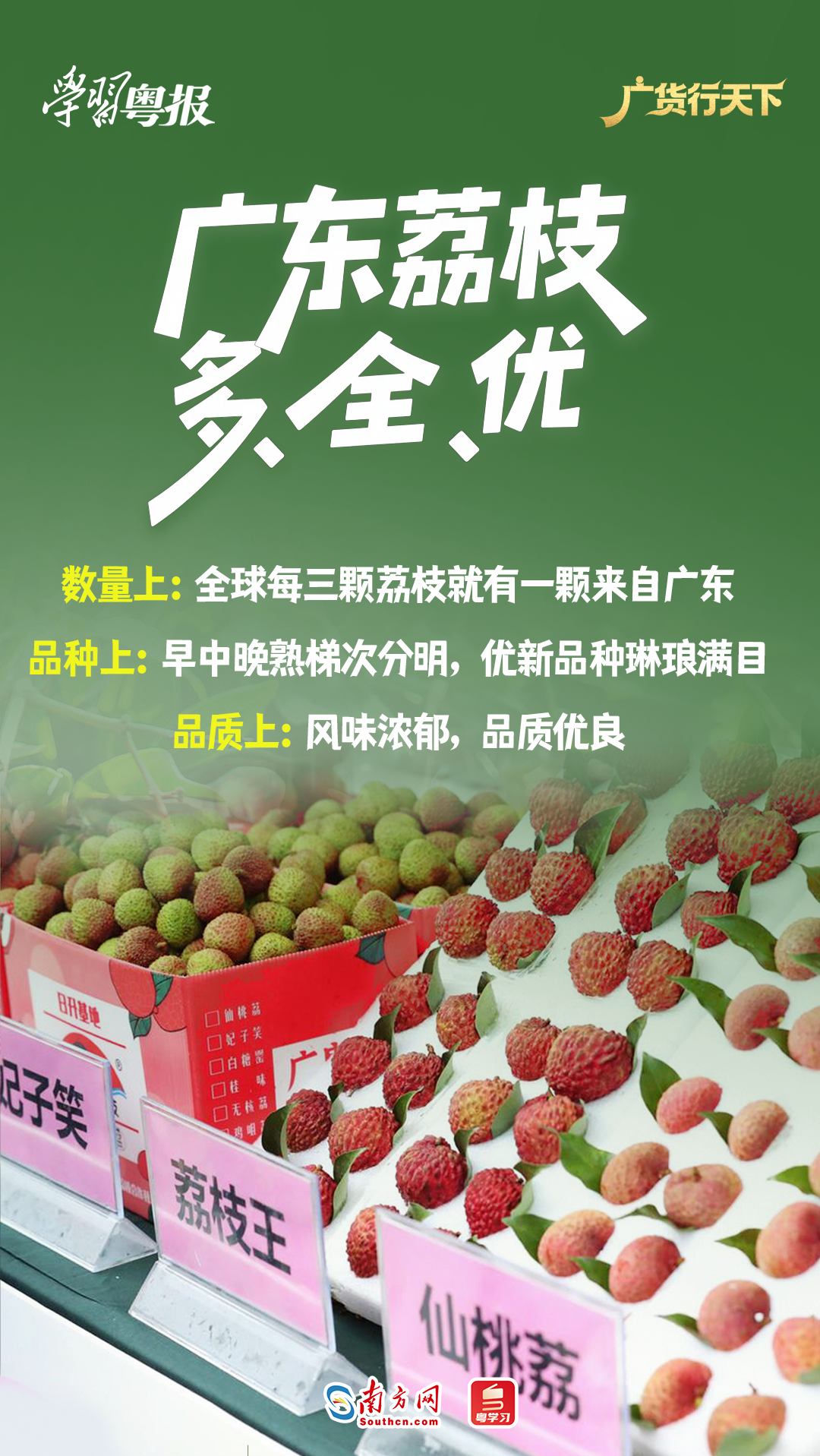 浙江省肿瘤医院陈鲁医生黄牛预约代挂号电话213.6亿元!减产不减收,广东荔枝销售何以逆势增长28%?丨学习粤报