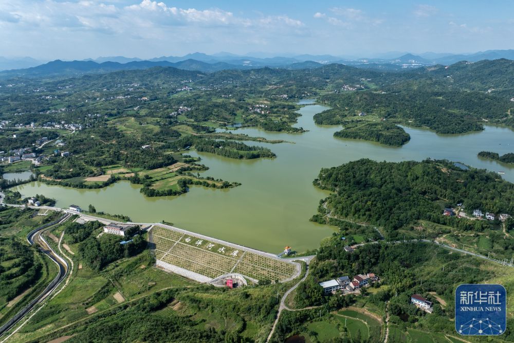 
上海新华医院黄牛挂号电话票贩子号贩子网上预约挂号,住院检查加快台风“巴威”带来风雨影响 多地全力部署筑牢防线