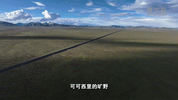 浙江大学医学院附属第二医院沈一丁医生黄牛预约代挂号电话天路二十载·山海相逢