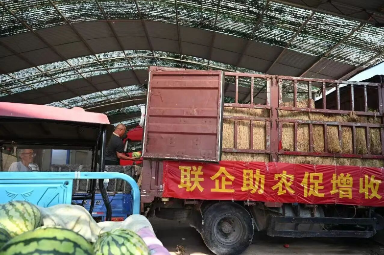 上海市肺科医院周崧雯医生黄牛预约代挂号电话西瓜丰产却卖不上价 河南瓜农该怎么办?这场爱心接力给出了答案!