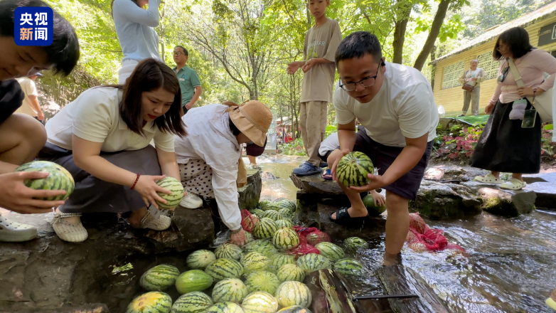 上海市肺科医院周崧雯医生黄牛预约代挂号电话西瓜丰产却卖不上价 河南瓜农该怎么办?这场爱心接力给出了答案!