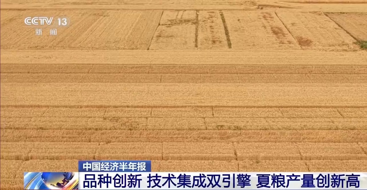 
中国中医科学院西苑医院洪霞医生黄牛预约代挂号电话视频丨我国夏粮产量创新高 丰收的背后有哪些硬核支撑？