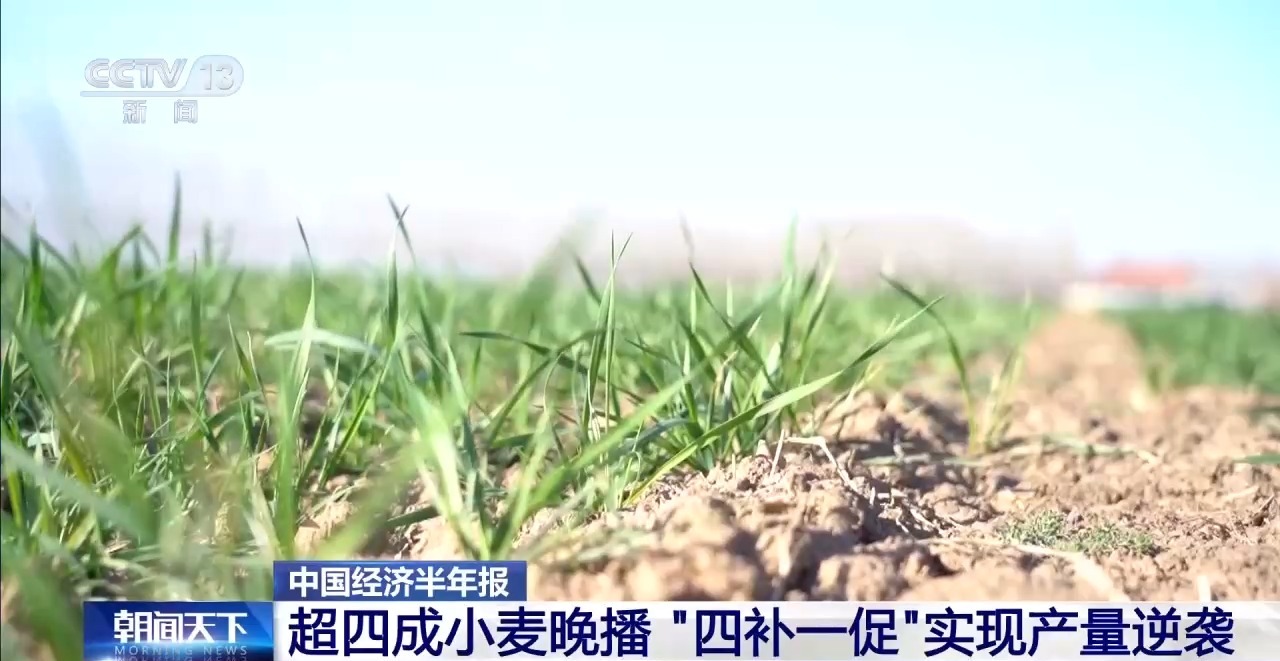 
中国中医科学院西苑医院洪霞医生黄牛预约代挂号电话视频丨我国夏粮产量创新高 丰收的背后有哪些硬核支撑？