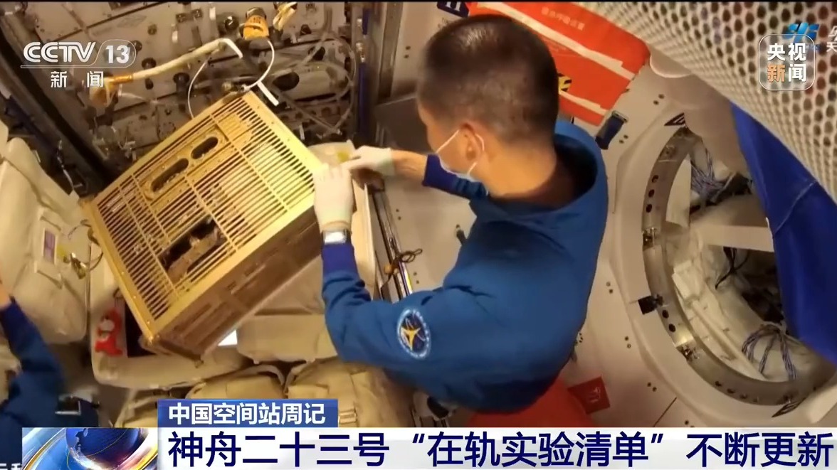 
空军特色医学中心陈杰医生黄牛预约代挂号电话视频丨持续开展多项实验 神舟二十三号乘组在轨动态更新