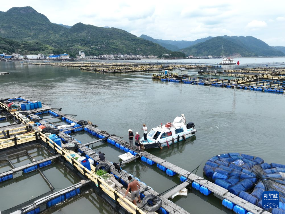 浙江大学医学附属妇产科医院白晓霞医生黄牛预约代挂号电话关口前移、预防为先——多地强化防汛预警和救援准备