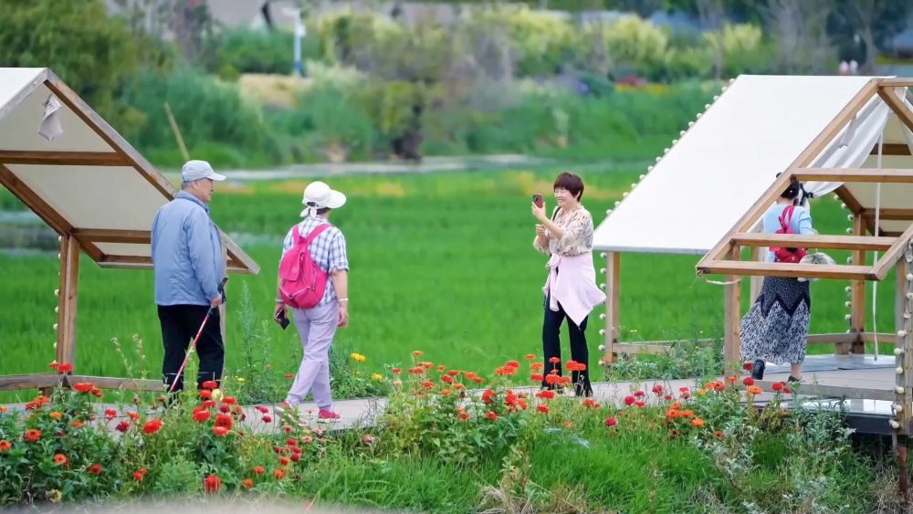 江苏省中医院周慧芳医生黄牛预约代挂号电话“暑期消费”场景上新 夏日经济活力持续释放