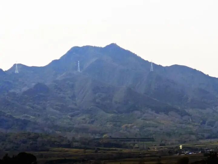 
山东省立医院张海清医生黄牛预约代挂号电话看见佛光寺