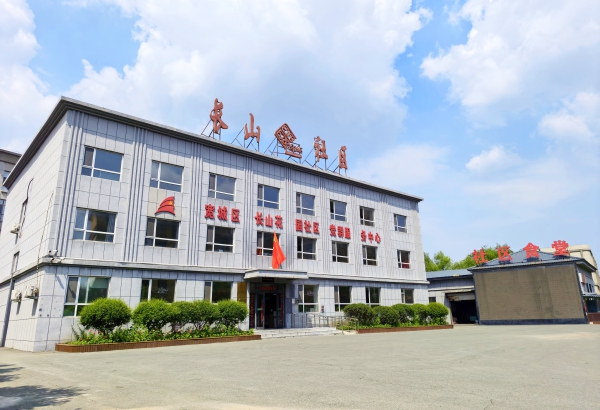 
沈阳医大二院黄牛挂号电话票贩子号贩子网上预约挂号,住院检查加快“七一勋章”获得者吴亚琴，中国基层之治的答卷人
