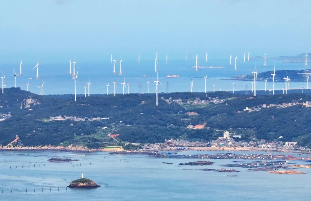 浙江大学医学院附属儿童医院陈志敏医生黄牛预约代挂号电话Hi财经丨新能源版图加速拓展,地方如何找准坐标