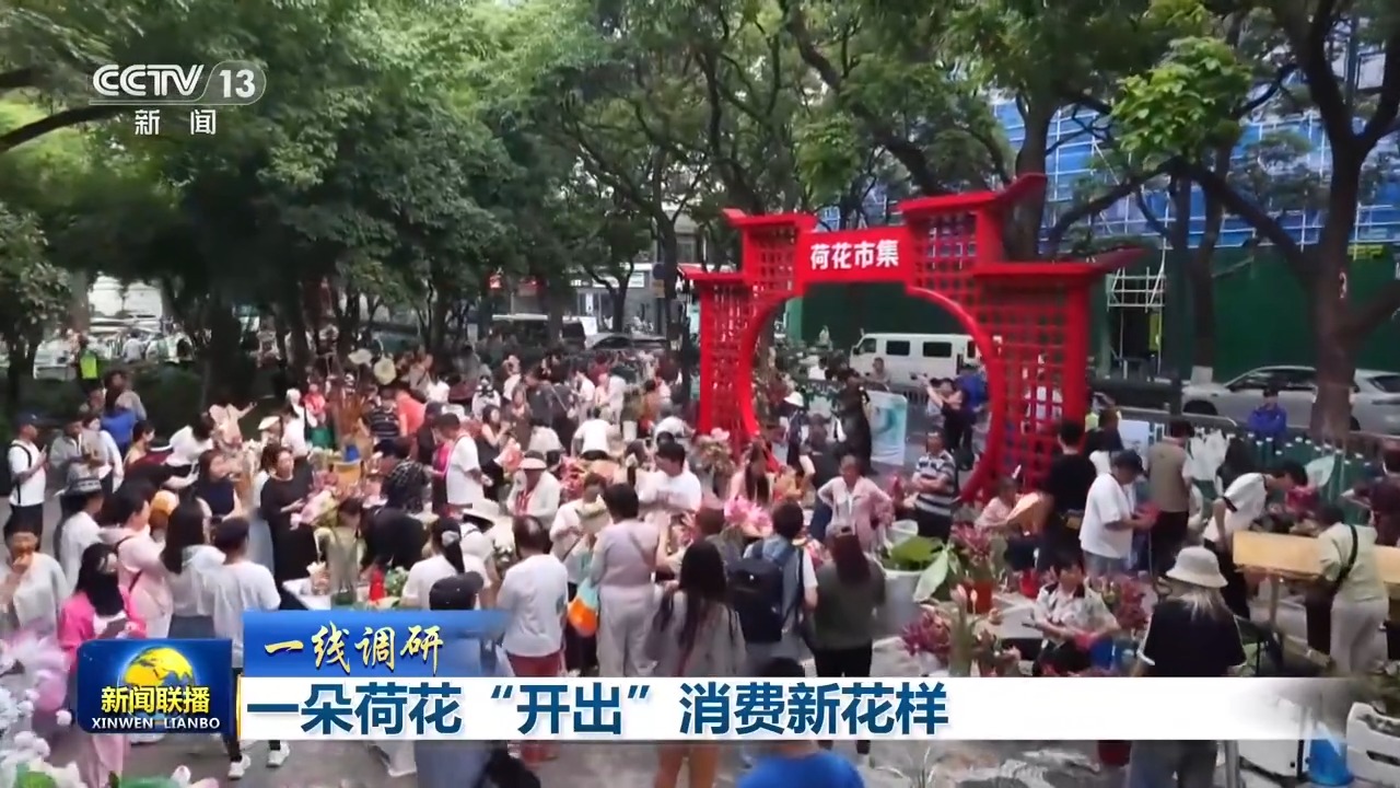 
北京安贞医院顾承雄医生黄牛预约代挂号电话一线调研丨一朵荷花“链”出夏日消费新业态