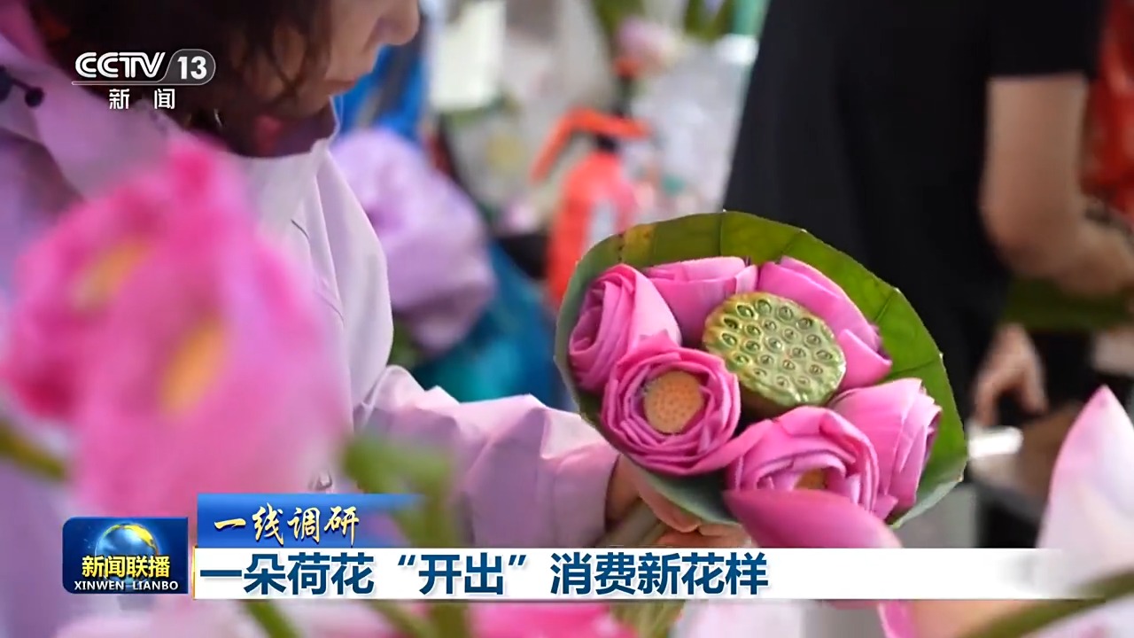 
北京安贞医院顾承雄医生黄牛预约代挂号电话一线调研丨一朵荷花“链”出夏日消费新业态