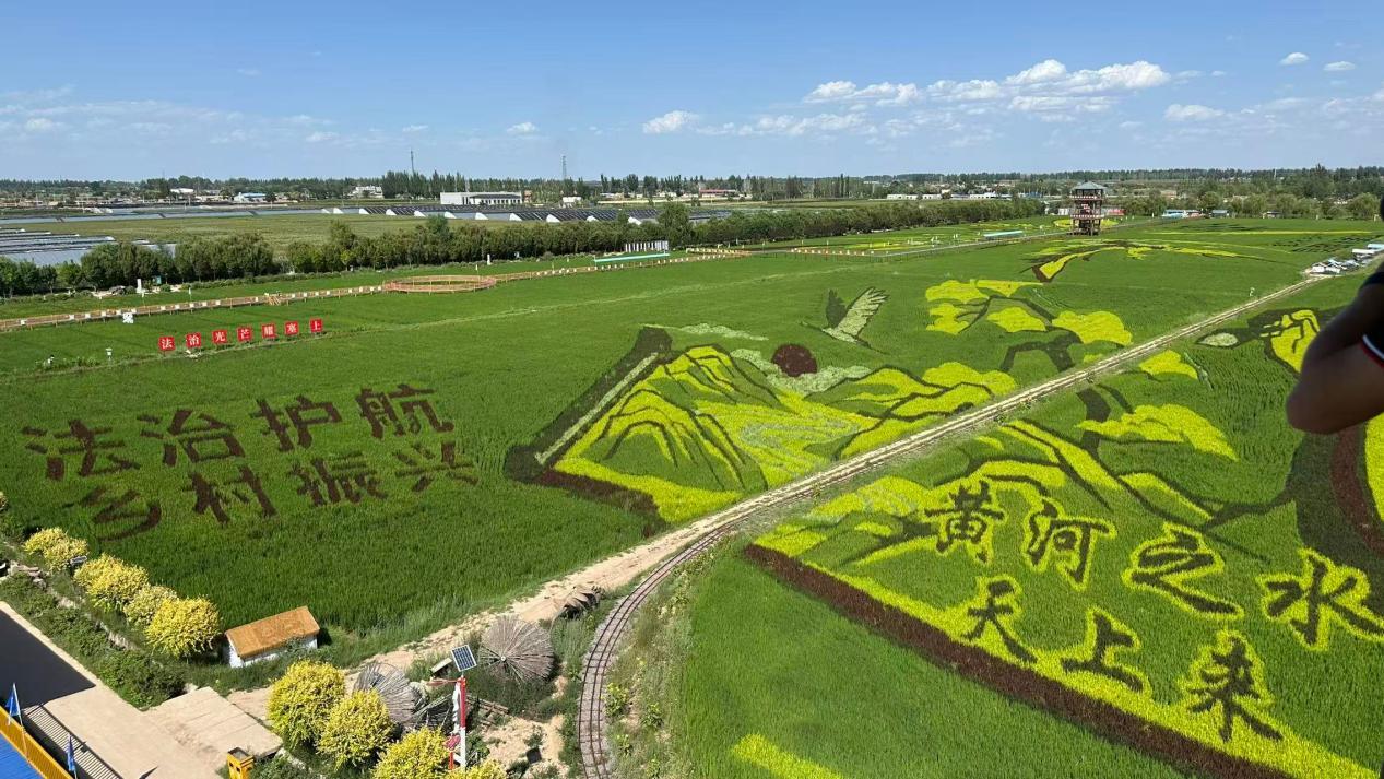 
江苏省东部战区总医院唐政医生黄牛预约代挂号电话E法同行 法润塞上丨银川：法治光芒照耀塞上江南