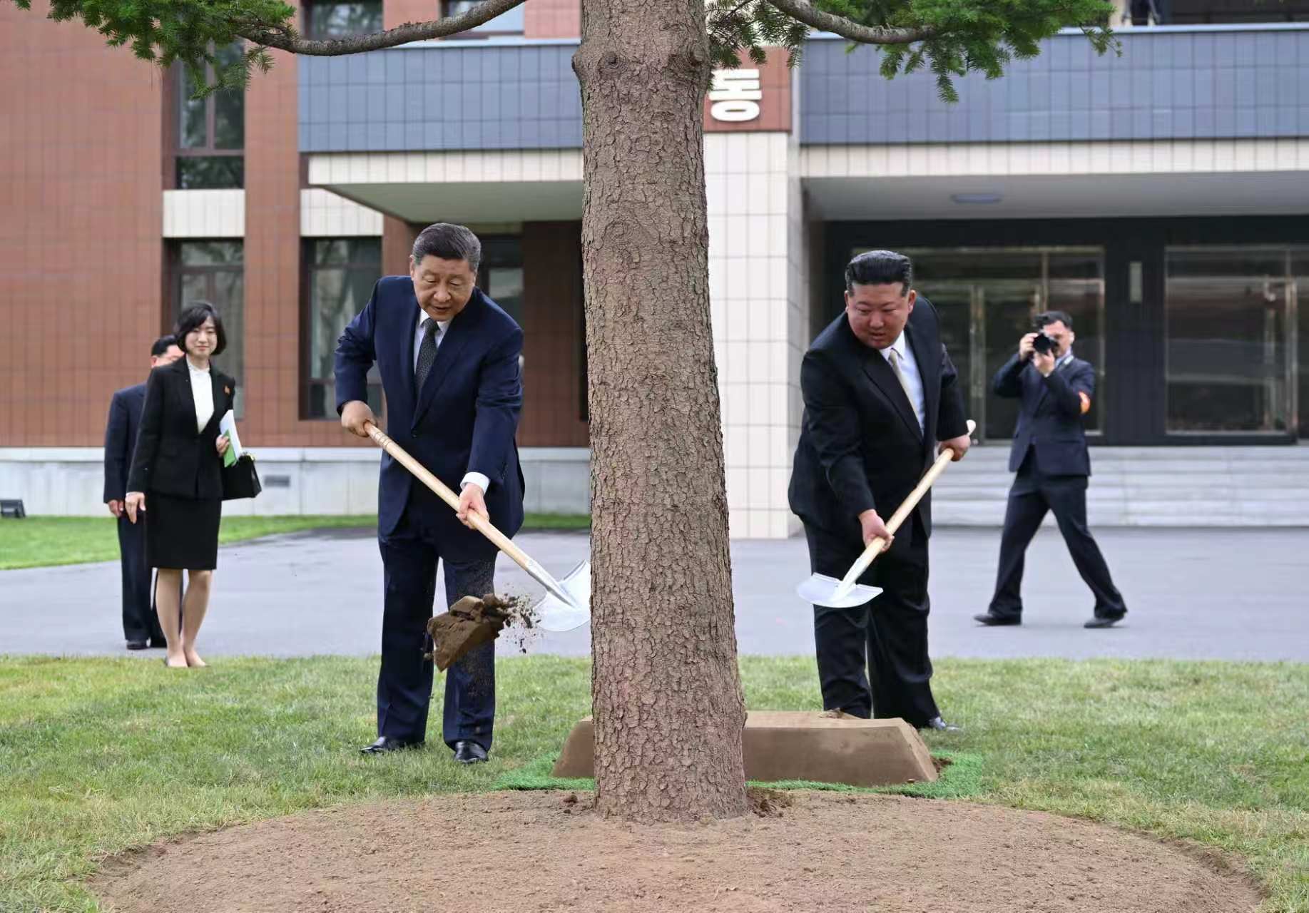 
上海交通大学附属第九人民医院曲行舟医生黄牛预约代挂号电话天天学习丨中南海月刊（2026.06）