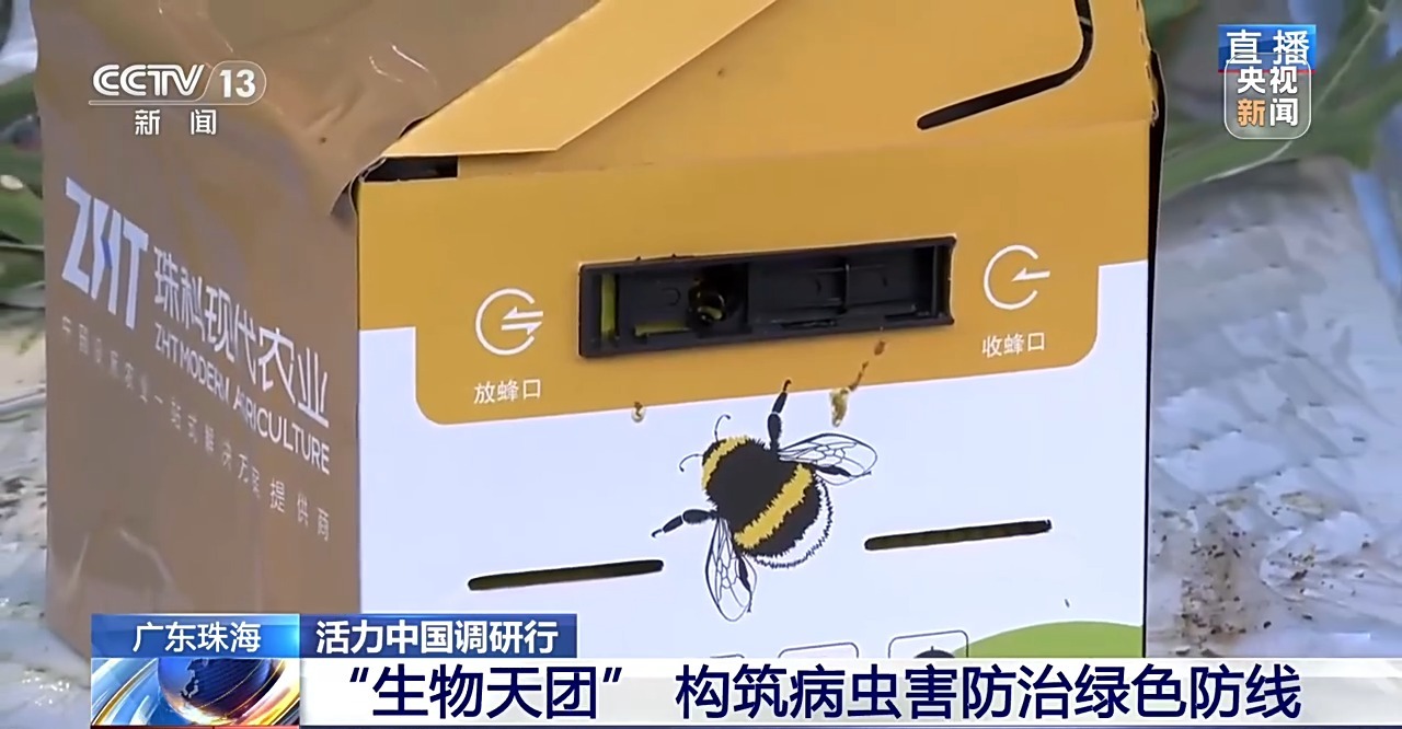 
西安各大医院黄牛挂号电话票贩子号贩子网上预约挂号,住院检查加快活力中国调研行丨一个小番茄里的科技味