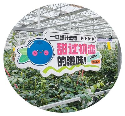 
中国医学科学院肿瘤医院黄牛挂号电话票贩子号贩子网上预约挂号,住院检查加快在兴安盟，遇见22℃的夏天