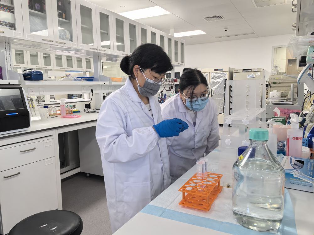 
江苏省人民医院徐卫医生黄牛预约代挂号电话在上海，探索“从0到1”的前沿创新