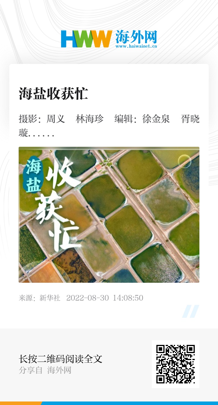 海盐收获忙