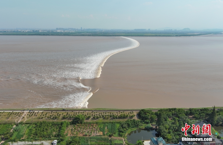 杭州钱塘江“鬼王潮”汹涌壮观